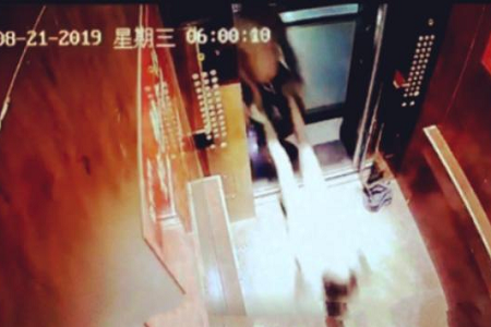 papi酱公司旗下艺人宇芽是谁?宇芽被前男友家暴怎么一回事?