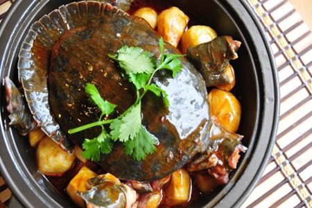 甲鱼的功效与作用,这五个女人吃甲鱼的营养功效