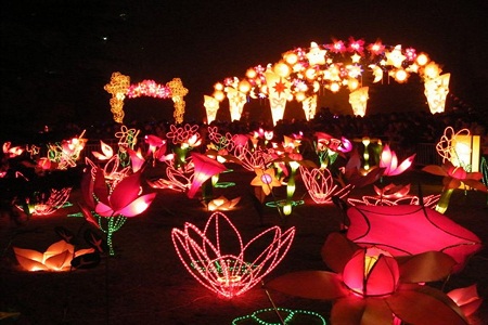 元宵时节赏花灯,养好脾胃再约会