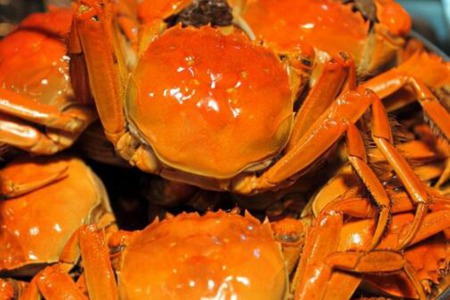 螃蟹要蒸多久才能蒸熟?冷水下锅还是热水下锅