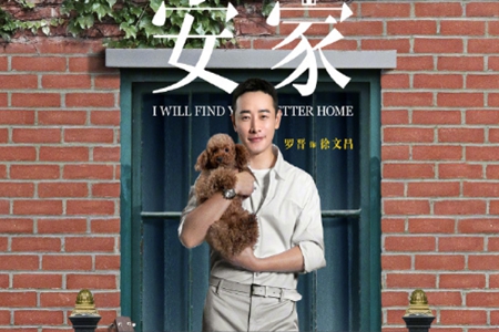 孙俪新剧《卖房子的人》定档,剧名卖房为啥改为安家?