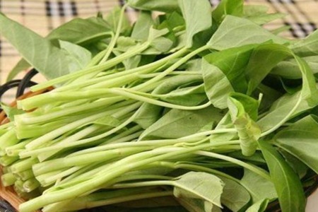 空心菜的功效与作用，这五个女人吃空心菜的营养价值