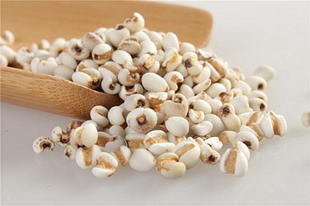 薏苡仁的功效与用法，女性治疗脾虚就用TA