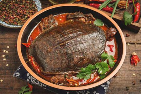 甲鱼的功效与作用,这五个女人吃甲鱼的营养功效