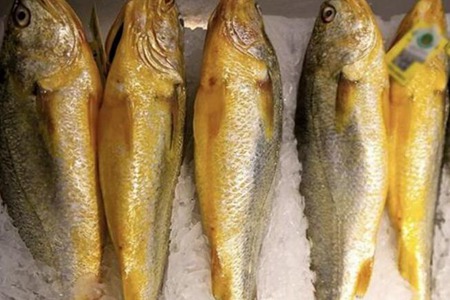 黄花鱼的功效与作用，这五个女人吃黄花鱼的营养价值