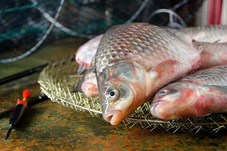 大寒肾虚脾胃不和?饮食就要增咸减甘