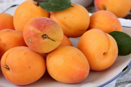 孕妇可以吃杏子吗?这五个孕妇吃杏仁的危害