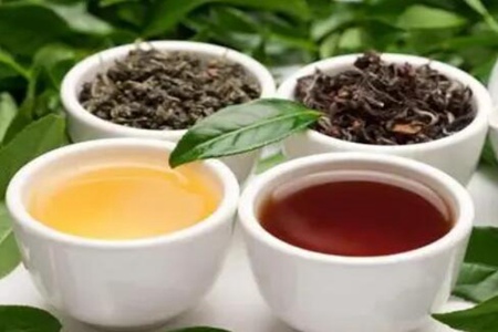 夏天喝什么茶比较好对身体?这四个茶饮有助于去暑消炎