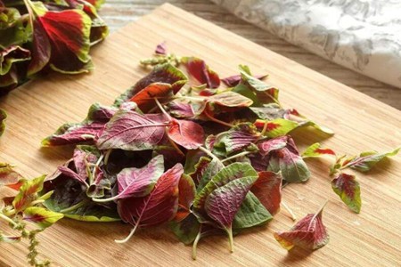 苋菜的功效与作用,这五个吃苋菜的营养成分和功效