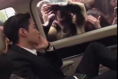 粉丝尖叫围观丧尸攻击?小绵羊张艺兴霸气回应被趴车窗