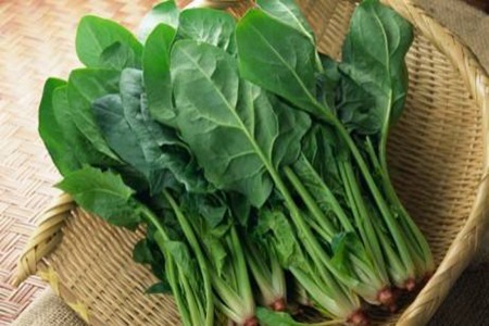 对眼睛好的食物有哪些？最补眼睛的五种食物十分有益