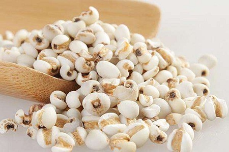 薏苡仁的功效与用法，女性治疗脾虚就用TA