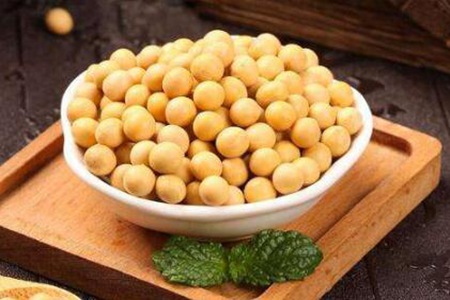 孕酮低吃什么好?这五个食物有效补充孕酮有助安胎