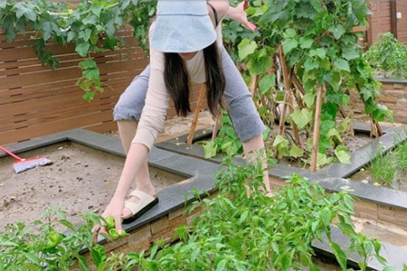 张馨予豪宅小院曝光，争议女王张馨予婚后幸福得让人嫉妒