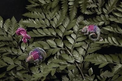 生灵珠宝闪耀大自然奢华奇迹