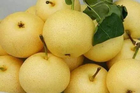 肝火旺吃什么可以降肝火?这四个食物多吃能降火保肝