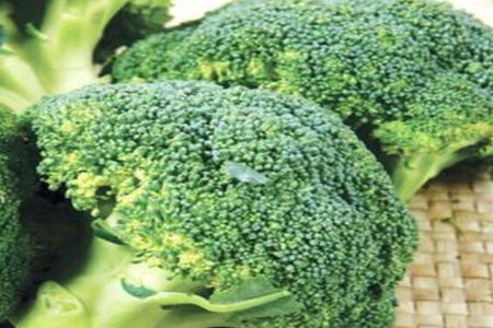 西兰花变黄了还能吃吗?如何挑选新鲜西兰花