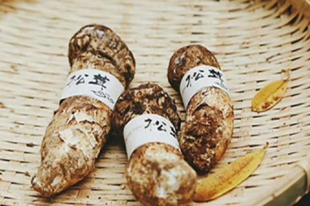 9月应季蔬菜有哪些,吃出健康营养