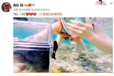 魏晨水下求婚成功大钻戒成亮点,女友系相恋多年大学同学