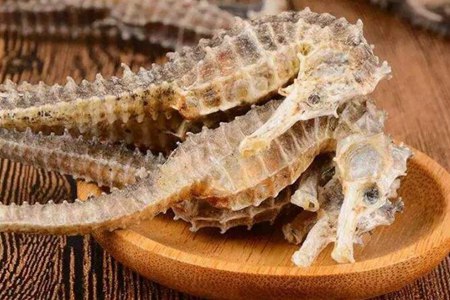 海马的功效与作用，这四个海马的营养价值