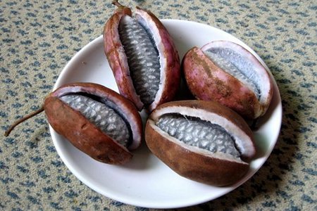 八月瓜的功效与作用,这三个女人吃八月瓜的好处