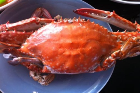 梭子蟹的功效与作用,这五个吃梭子蟹的营养价值