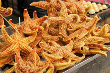 海星的功效与作用,这五个女人吃海星的营养价值及功效