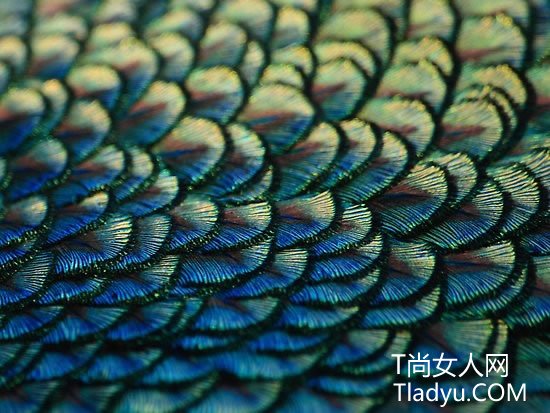 低调华丽孔雀蓝 配饰大集结