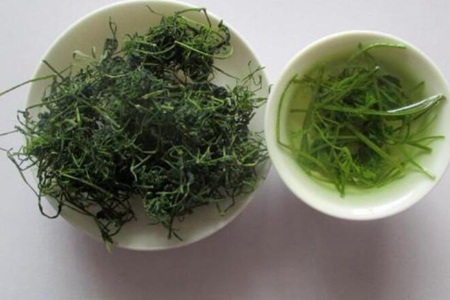 护肝茶有哪些?这五款清肝明目养肝护肝茶