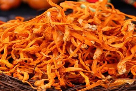 虫草花的功效与作用,这五个女人吃虫草花的营养价值