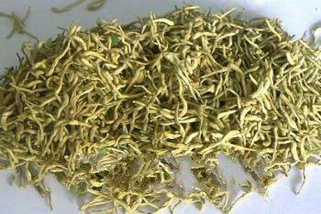 黄芪的最佳搭配,这五种黄芪的功效搭配补身体