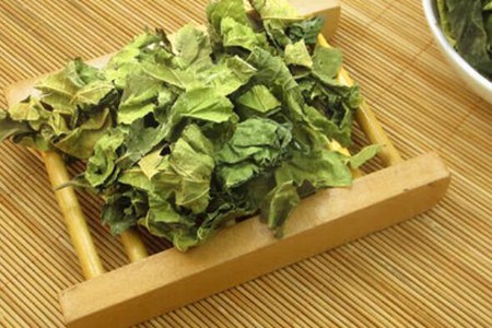 桑叶茶的功效与作用,这五个女人喝桑叶茶的好处