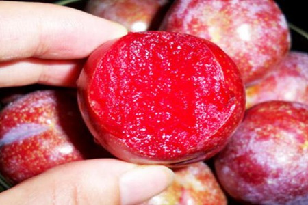 红心李子的功效和作用，这四个女人红心李子营养价值