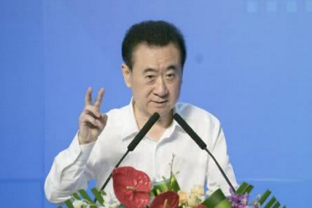 昔日房产大亨王健林财富缩水 儿子王思聪竟被列为被执行人
