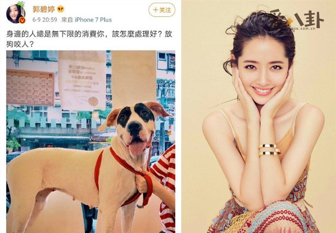 向太安慰郭碧婷又说了什么引网友狂赞?向太安慰郭碧婷什么情况?
