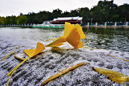 北京暴雪爽约！气象局：雪是好雪 但风不正经