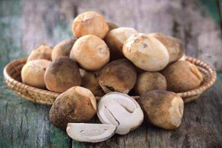 草菇的功效与作用,这五个草菇的营养价值及功效