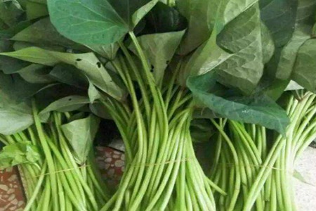 红薯叶的功效与作用,这五个女人吃红薯叶的营养功效