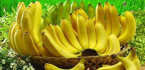 秋天养生吃什么好 秋天吃什么补气血 女人养气血吃什么最好