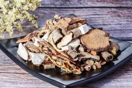 毛冬青的功效与作用,这五个女人喝毛冬青的药用价值