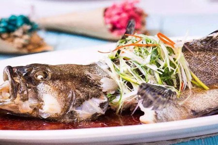 石斑鱼的功效与作用,五个女人吃石斑鱼的营养价值