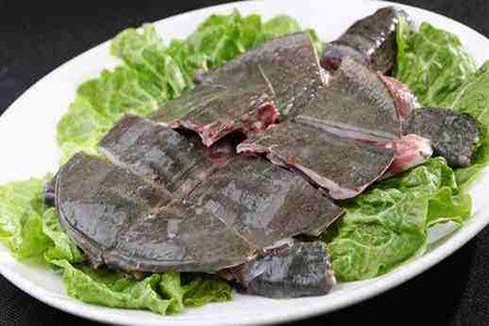 甲鱼的功效与作用,这五个女人吃甲鱼的营养功效