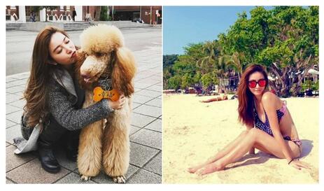 许维恩和丁小芹怎么了