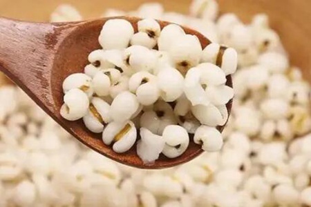 去湿气最好的食物有哪些？这五个食物多吃健脾胃除湿气