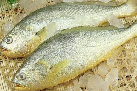 黄花鱼的功效与作用，这五个女人吃黄花鱼的营养价值