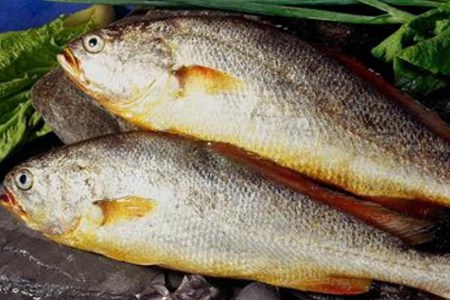 黄花鱼的功效与作用，这五个女人吃黄花鱼的营养价值