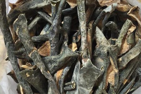 冬瓜皮的功效与作用,这四个冬瓜皮的药用价值和功效