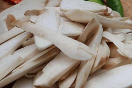 杏鲍菇的功效与作用,五个女人吃杏鲍菇的营养价值