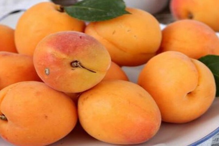 杏子的功效和作用是什么?五个女人吃杏子的营养价值