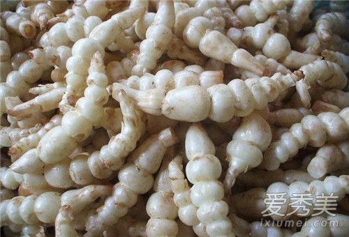 虫草参孕妇可以吃吗 什么人不能吃虫草参